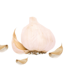Aroma - Garlic
