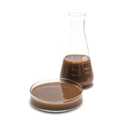 liquid-belachain LIQUID BELACHAN