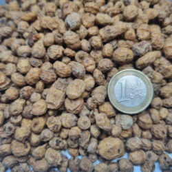 mini-tigrov-orah TIGERNUT- MICRO 6-8 mm