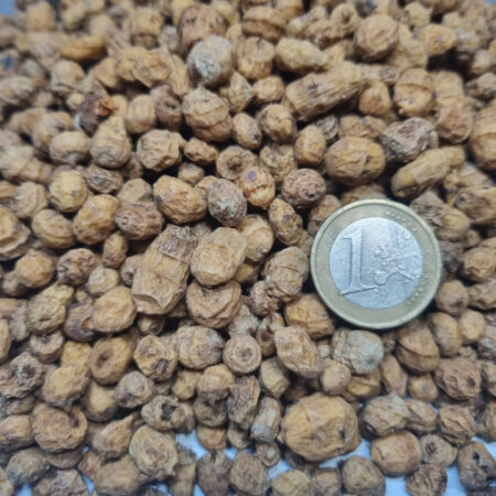 mini-tigrov-orah TIGERNUT- MICRO 6-8 mm