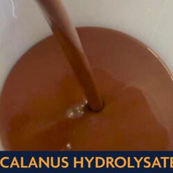 CALANUS HYDROLYSATE