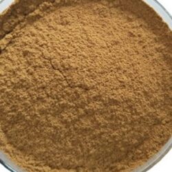 KELP Extract powder