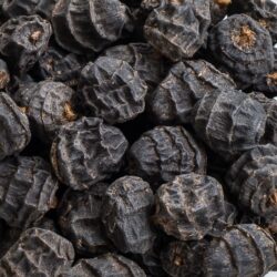 TIGERNUTS BLACK STANDARD