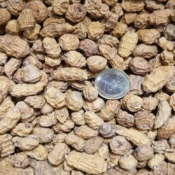 TIGERNUT XXL 12-35 mm