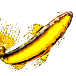 Cod liver oil COD LIVER OIL