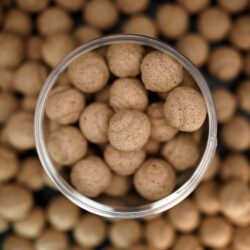 Insect [100% NATURAL] pop-ups