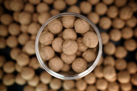 Insect [100% NATURAL] pop-ups